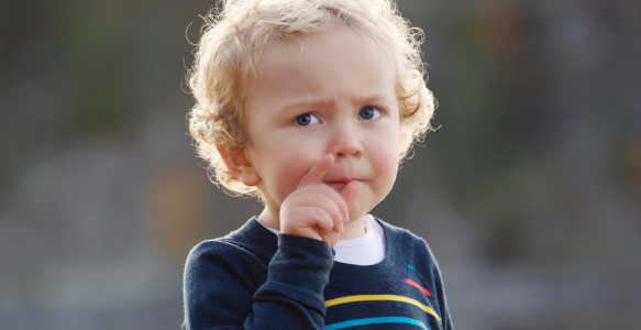 INTELIGENCIA EMOCIONAL